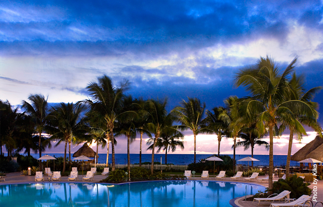 Global G Real Estate